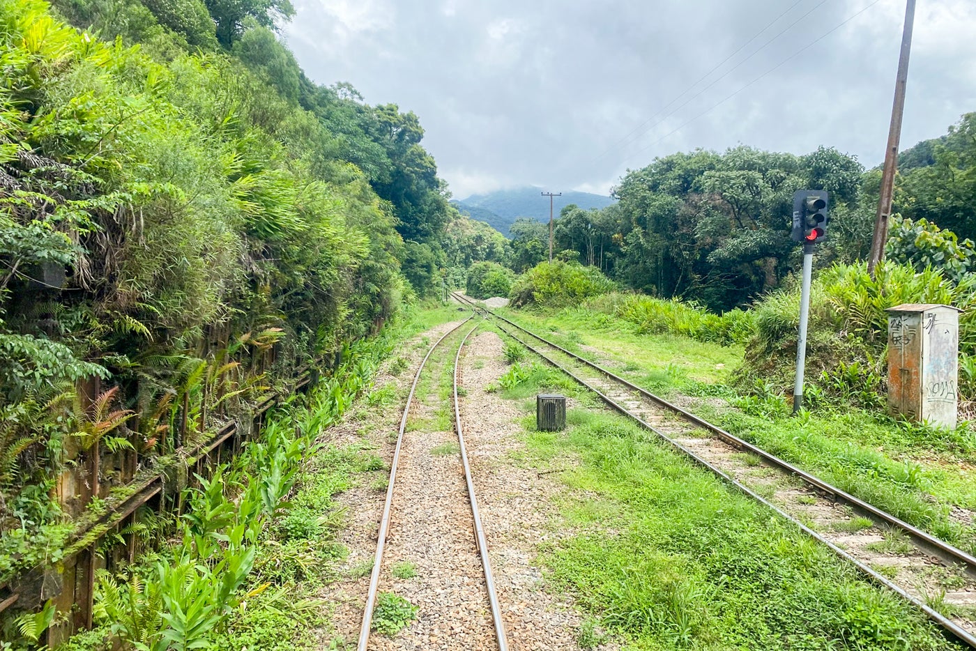 Brazil's Serra Verde Express: One of the world's most beautiful train ...