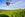 Colorful hot air balloons flying over champagne Vineyards at sunset montagne de Reims, Reims, France