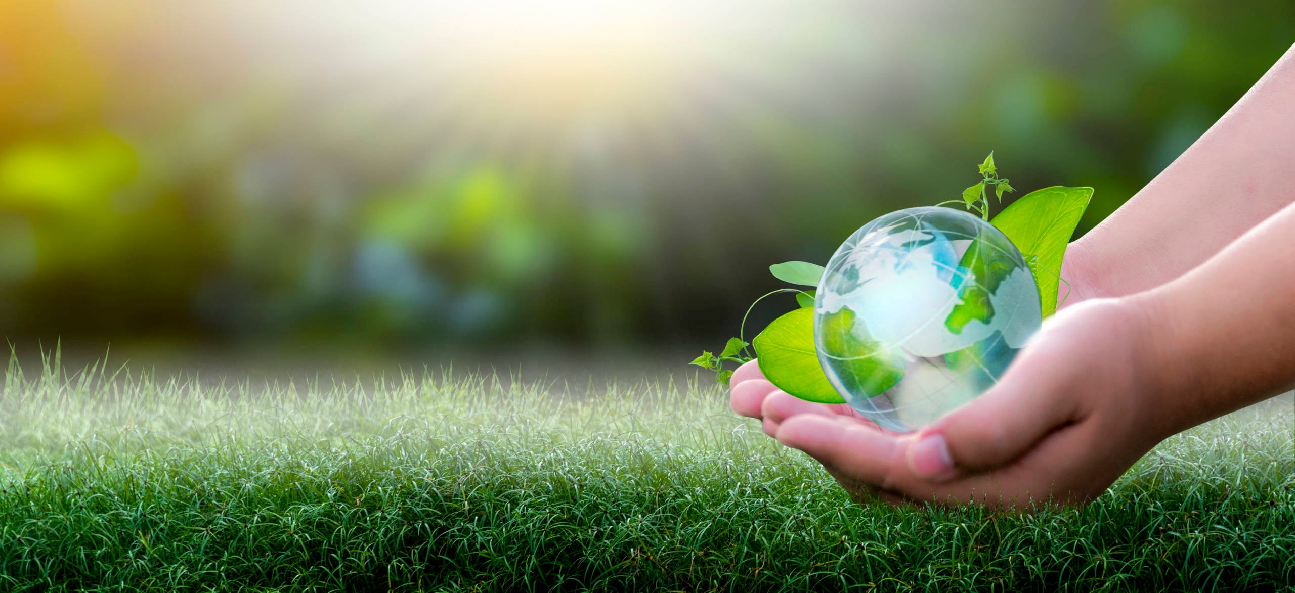 9 of the best sustainable backpacks for travelers The Points Guy