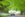 THE COTSWOLDS, UNITED KINGDOM: British made Alvis TD21 classic car motoring along an avenue of trees in a country lane in Asthall, The Cotswolds, England. (Photo by Tim Graham/Getty Images)
