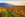 (Photo courtesy of Denbies Wine Estate)