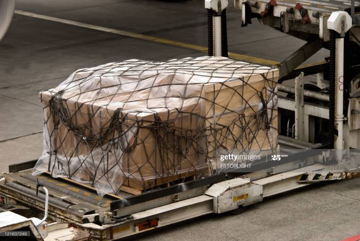 Suitcases, dogs, avocados and coffins: What's really traveling in the ...