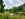 Photo by zenchant via Twenty20