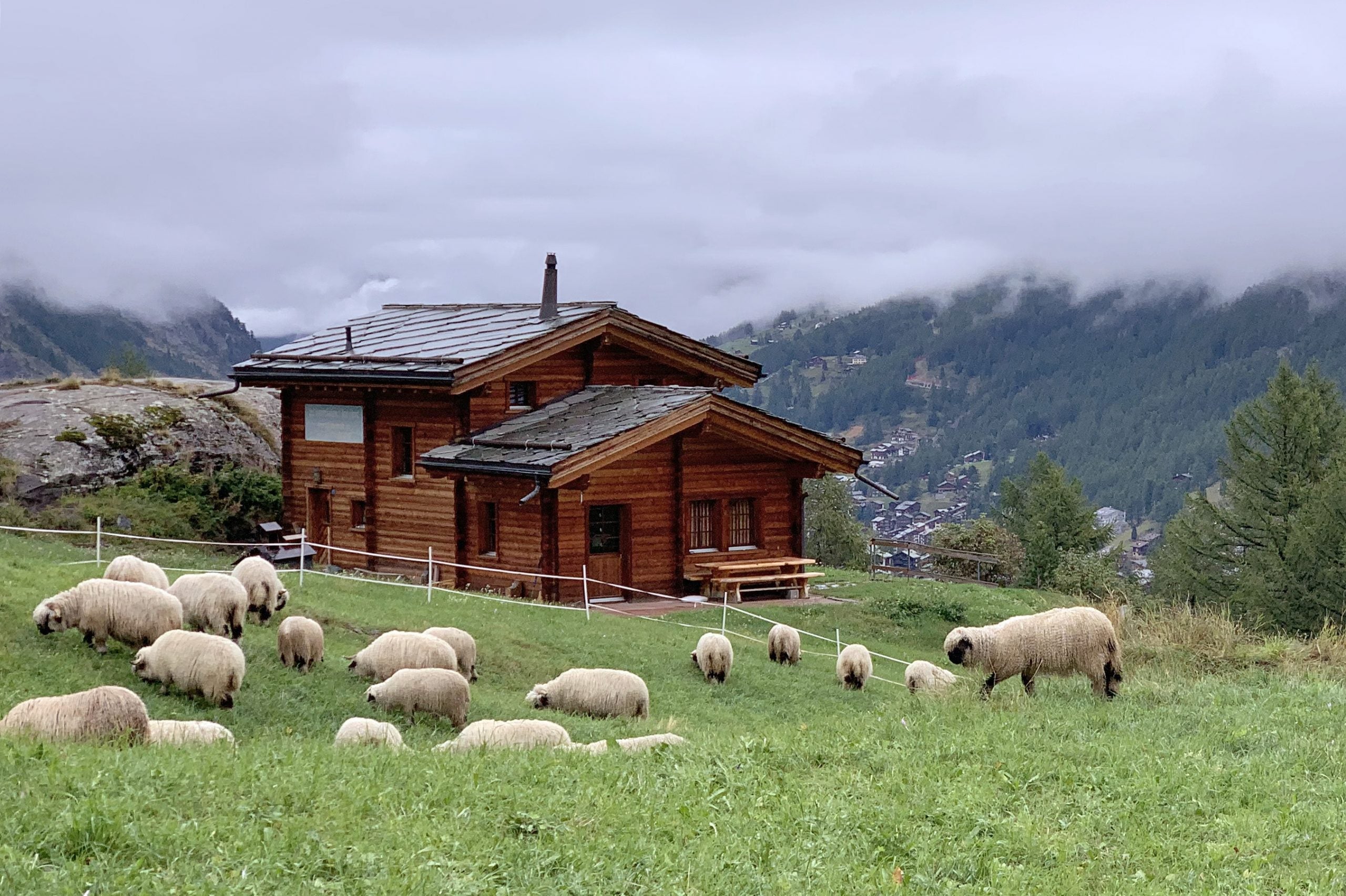 Switzerland could begin welcoming vaccinated visitors on 28 June - The Points Guy UK