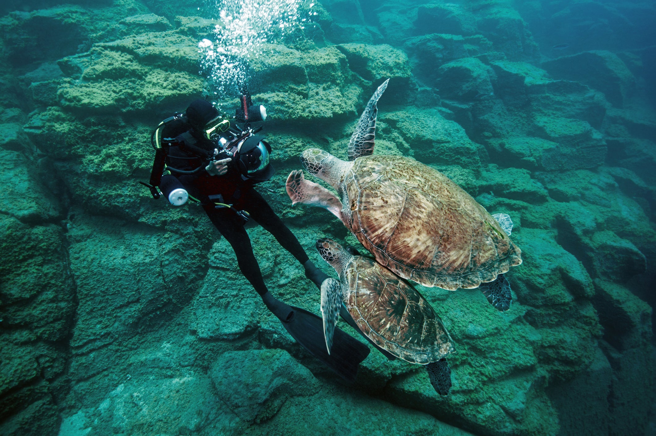 11 of the best dive destinations in Europe