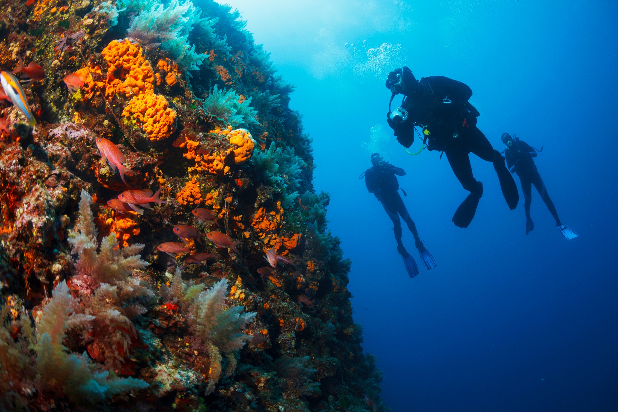 11 of the best dive destinations in Europe