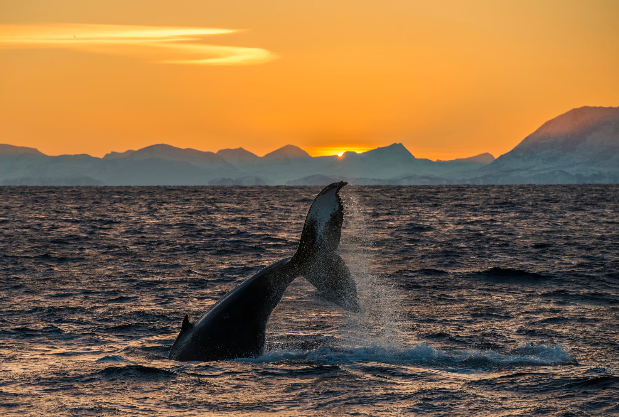 11 of the best dive destinations in Europe