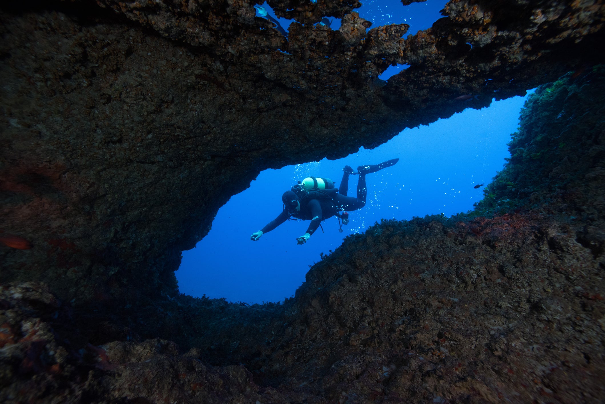 11 of the best dive destinations in Europe