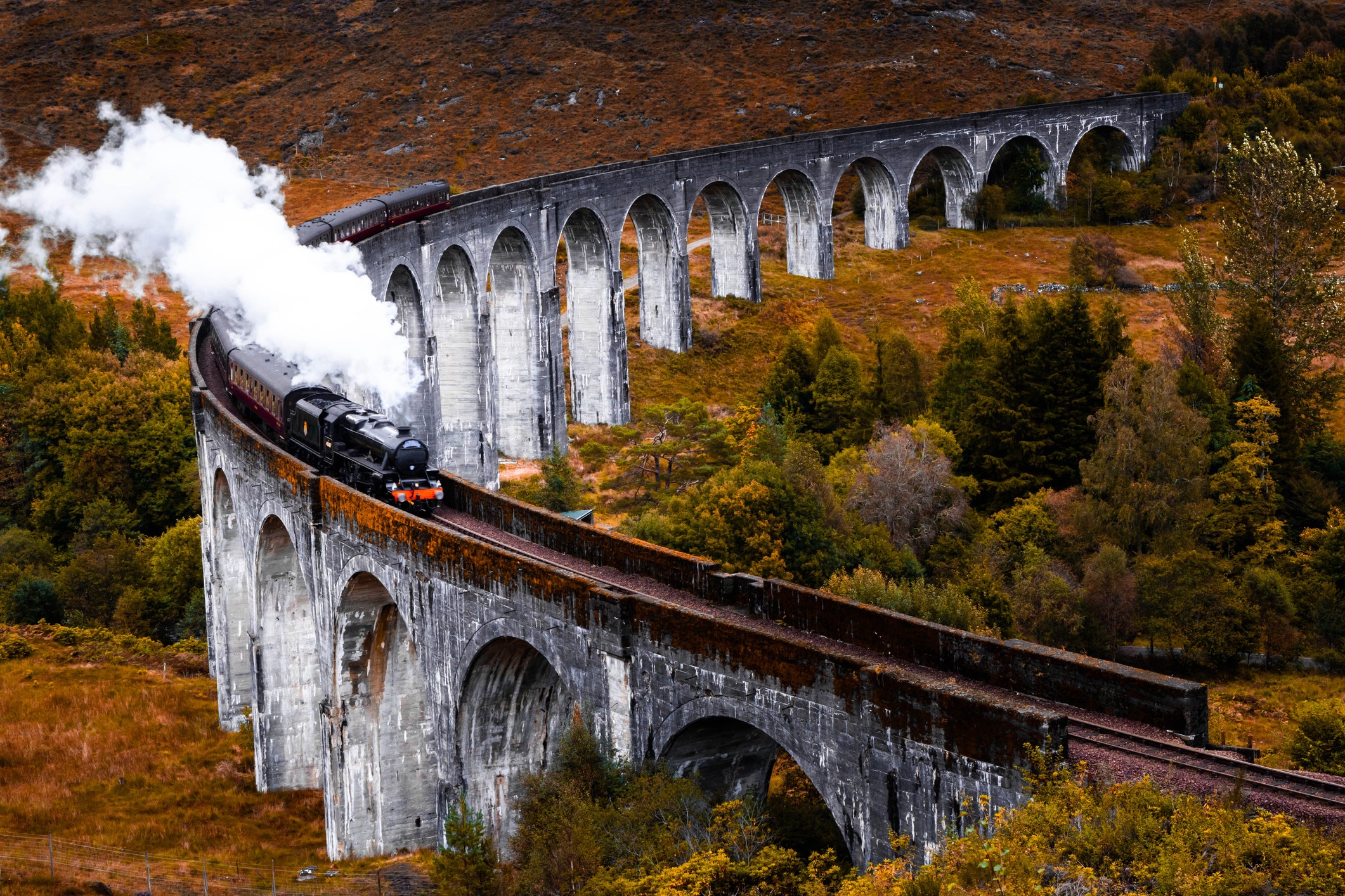 Steam train crosses viaduct