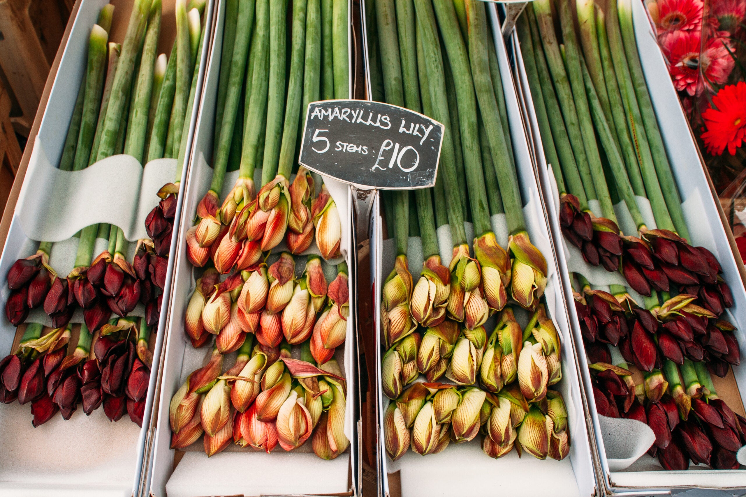 Columbia Road is famous for its flower market each Sunday.