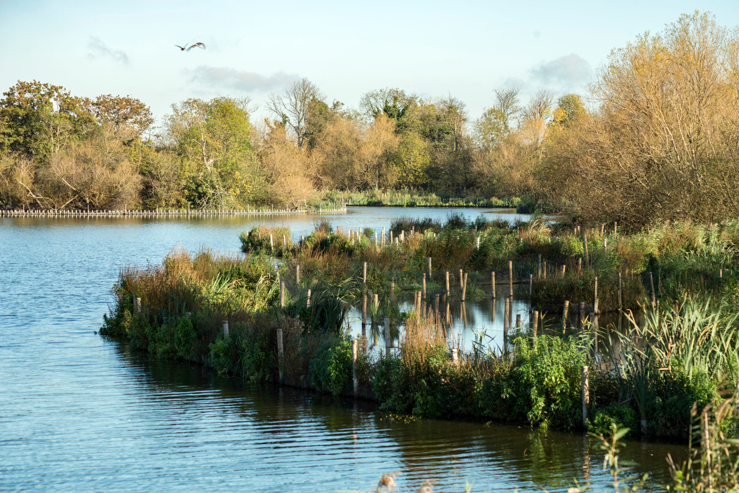 Walthamstow Wetlands