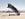 plane-boarding-300x225