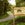 Consider staying at the Black Walnut Inn.