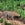 My South African Safari was a breathtaking experience especially seeing this leopard.
