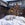 You'll find snow-loving dogs all around Aspen, especially downtown