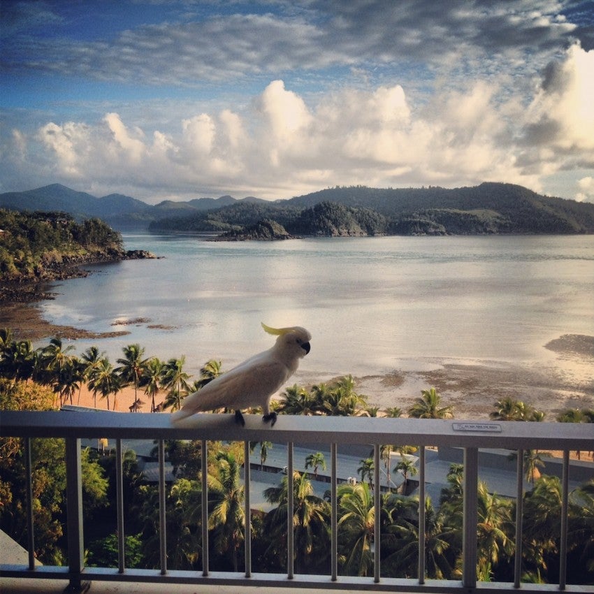 Hotel Review: Hamilton Island Reef View Hotel Coral Sea ...