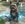 Miles enjoying the hotel pool. Photo by @thepointsguy