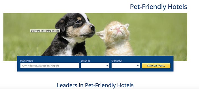 Traveling With Pets Airline and Hotel Policy Roundup
