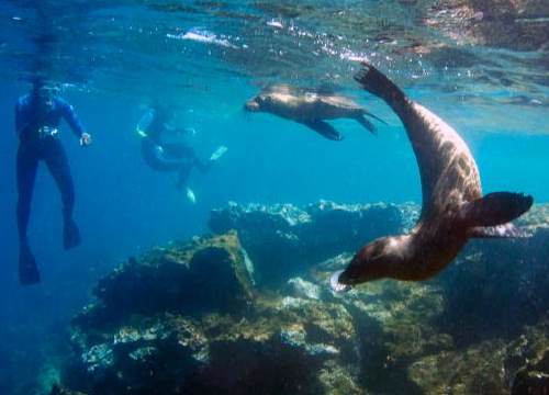 8 Snorkel Destinations That Will Blow Your Mind - The Points Guy