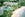 Marriott's Kaua'i Beach Club, a Vacation Club resort.