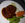 Mom's beef tenderloin.