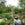 While in DC, don't miss the National garden at the US Botanic Garden, beside the US Capitol (photo by Melanie Wynne)