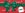 Join MilleMiglia, take one flight and get bonus miles
