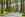 shutterstock_221461957