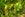 shutterstock_42179596