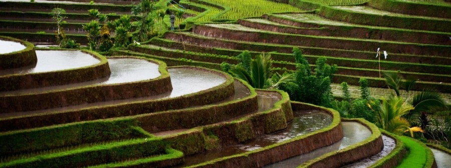 Asia Southeast rice terraces featured shutterstock 121249120