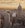 Hilton's app makes a Manhattan wall paper about as aspirational as possible.