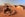 Why not camp in style in the Sahara? Photo courtesy of Shutterstock.