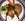 I doubt I would see any U.S. airlines serving quail as Singapore Airlines does!