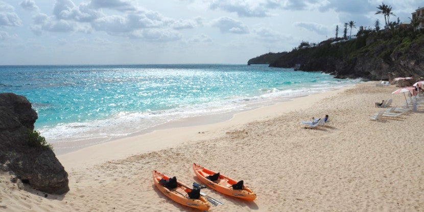 The Reefs featured