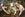 Cruises will work alongside people in global communities in need, with activities such as planting cacao plants.