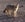 Don't feed the foxes who may venture close to your vehicle up at El Tatio.