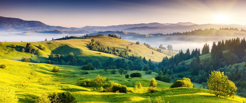 shutterstock_130505714