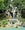 The Kuang Xi Waterfalls are just outside of Luang Prabang.