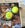 Our signed tennis balls.