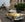 830-gold car