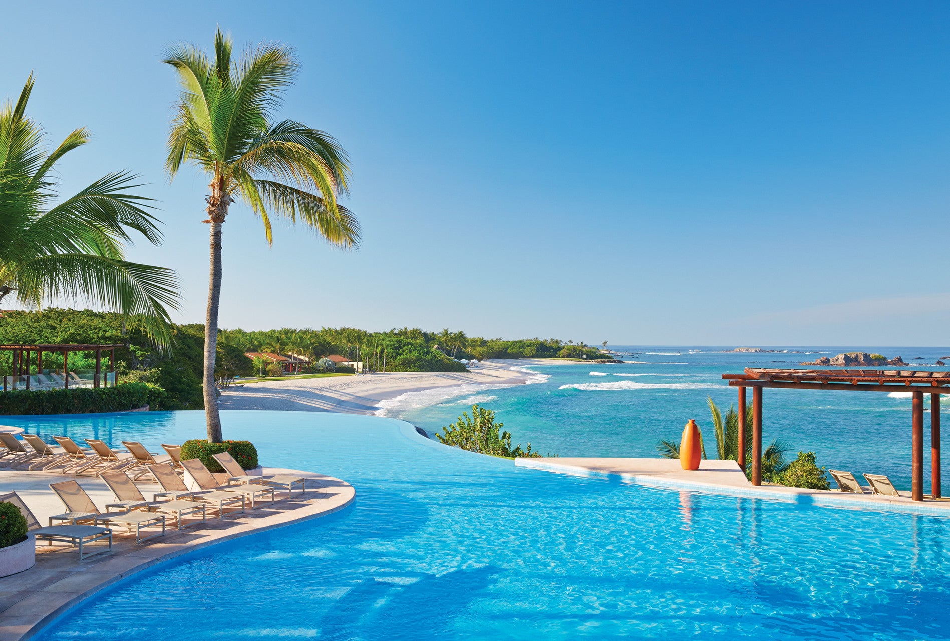Ocean in the background, foreground is an infinity pool with a palm tree to the left.