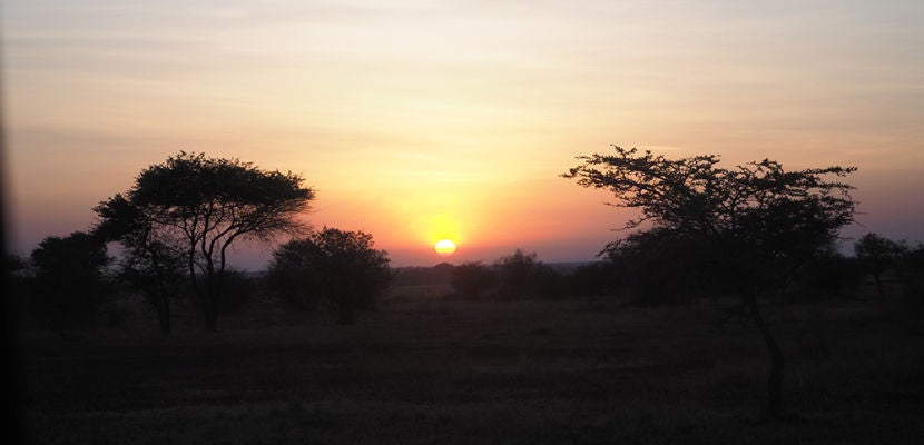 africa sunrise