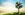 Money doesn't grow on trees, so don't expect unreasonable compensation from airlines. Photo courtesy of Shutterstock.