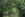 Caroni Bird Sanctuary. Image courtesy of the Caroni Bird Sanctuary's <a href="https://www.facebook.com/WinstonNananEcoTours/photos/a.325508624214737.69277.325499967548936/325508634214736/?type=3&theater" target="_blank">Facebook page</a>.