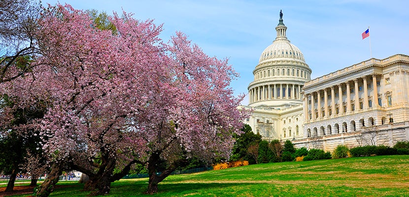 Marriage Proposal in Washington, D.C. — Reader Success Story - The ...