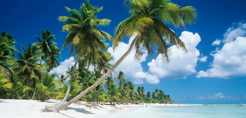 Dominican Republic, Saona Island, Palm trees on beach