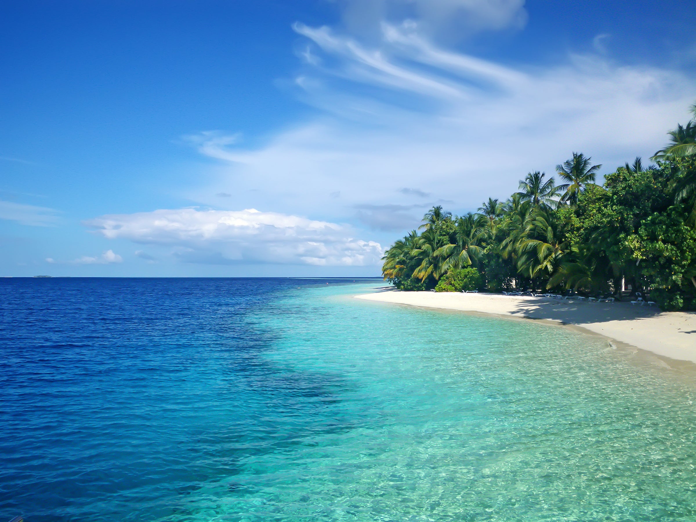 Tropical paradise at Maldives with white sand, blue sky and ocean and palms