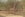 A giraffe spotted at the Bandia Reserve. Image by the author.