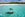 Swimming pigs of the Bahamas in the Out Islands of the Exuma. (Photo by