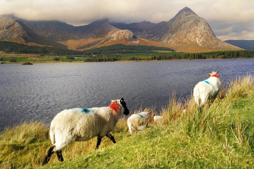 tourist attractions outside dublin